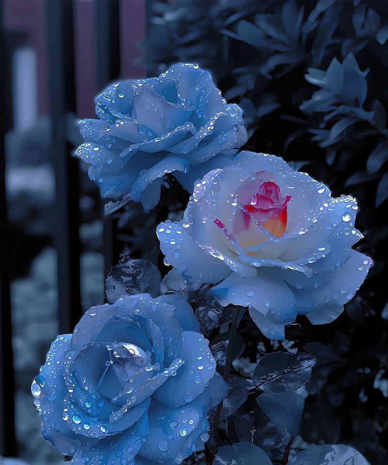 如意花语象征着什么？如意花的寓意有哪些？