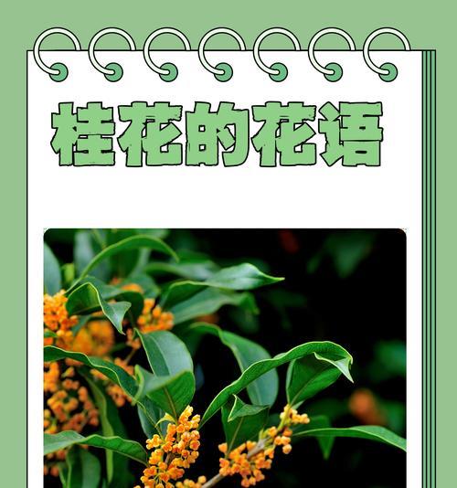如意花语象征着什么？如意花的寓意有哪些？