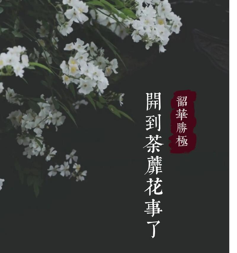 荼蘼花的花语及其象征意义是什么？