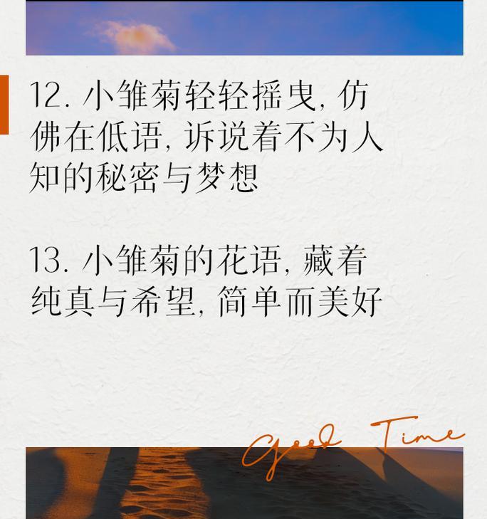 雏菊花语背后有什么故事？它代表了什么？