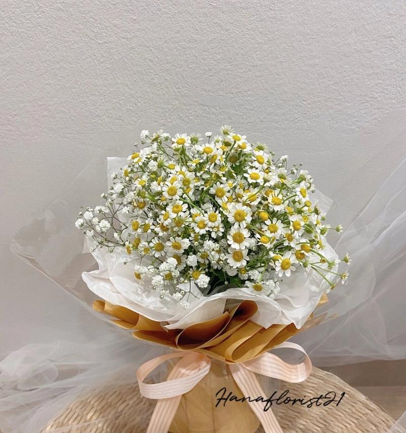 雏菊花语背后有什么故事？它代表了什么？