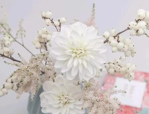 落新妇的花语有哪些含义？