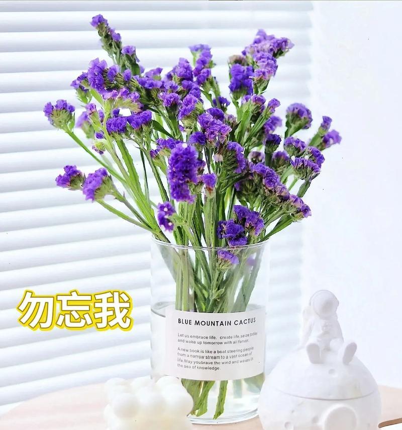 勿忘我的花语是什么？为何说它代表永久不变？
