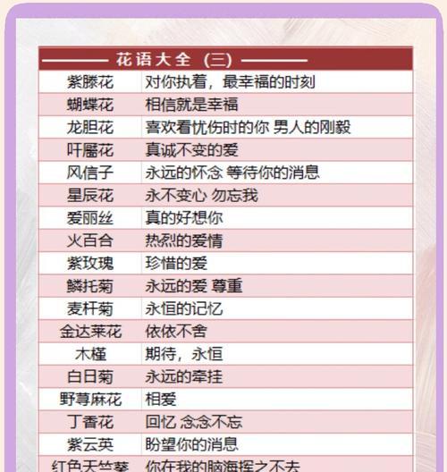 花语通常代表什么意义？它们各自有何含义？