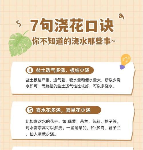 室内植物浇水的正确频率和技巧？