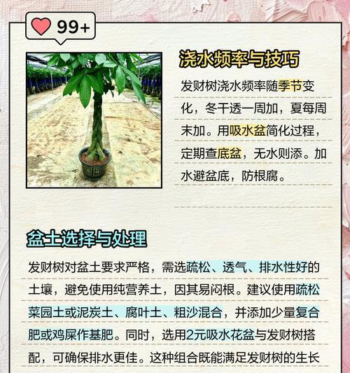 室内植物浇水的正确频率和技巧？