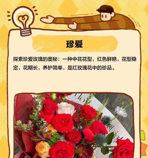 玫瑰花有哪些不同种类？它们各自的特性是什么？