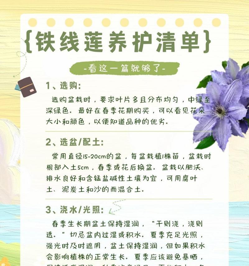 铁线莲养护技巧有哪些？如何正确养护铁线莲？