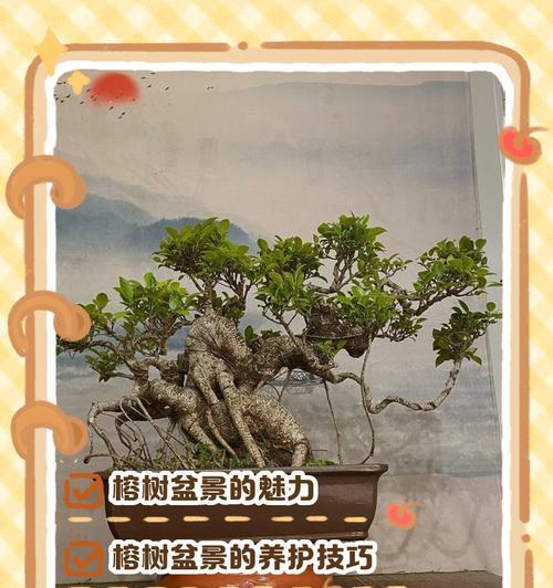 容树盆栽植物修剪技巧是什么？