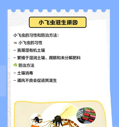 家中花卉遭遇飞虫侵扰该如何应对？