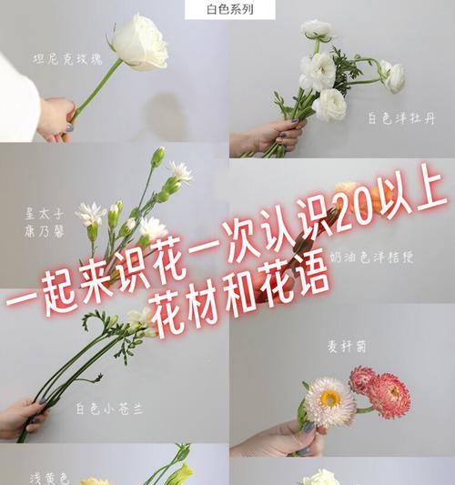 裸子植物的正确读音是什么？