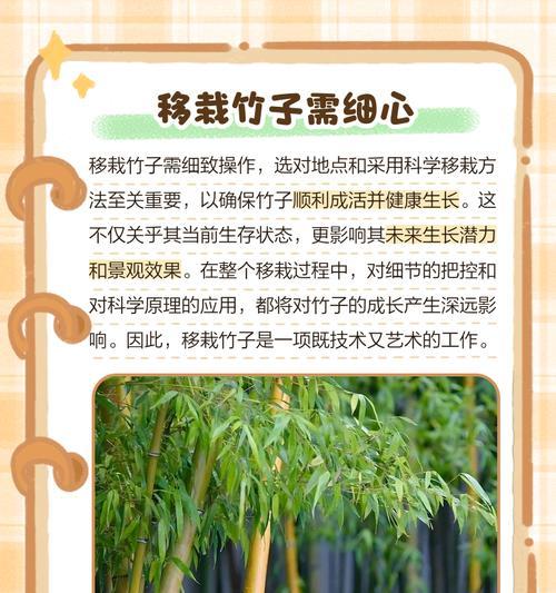 竹子剪枝的正确方法和好处是什么？