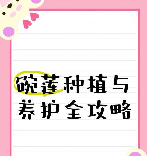 碗莲的养殖技巧和常见问题解答？