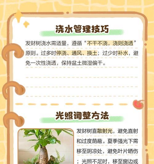 财树叶子发黄怎么办？财树叶子黄的正确处理方法是什么？