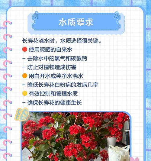 万寿花的养殖技巧有哪些？