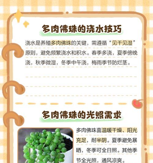 佛珠换盆的正确方法是什么？佛珠换盆需要注意什么？
