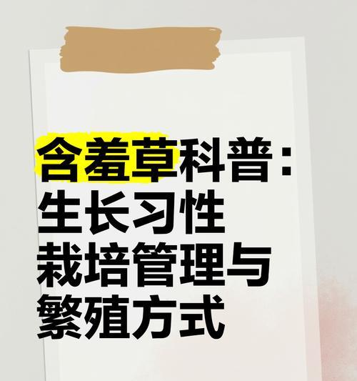 含羞草种植的正确步骤是什么？
