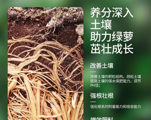 自制绿萝肥料的最佳配方是什么？