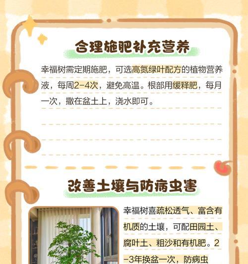 幸福树为何会落叶？如何防止幸福树落叶？