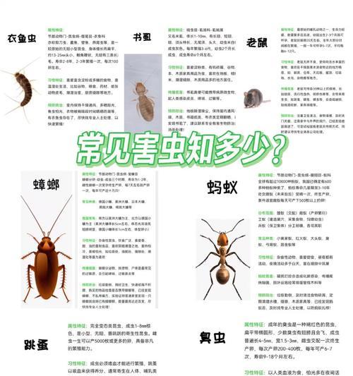 植物生虫子了怎么办？如何有效预防和处理植物虫害？