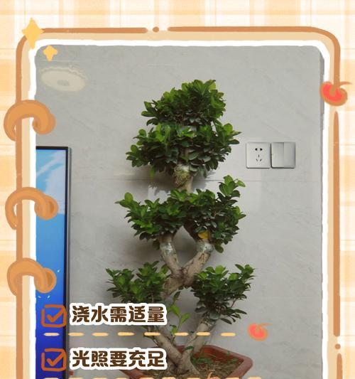 盆栽树掉叶子怎么办？如何有效防止和处理？