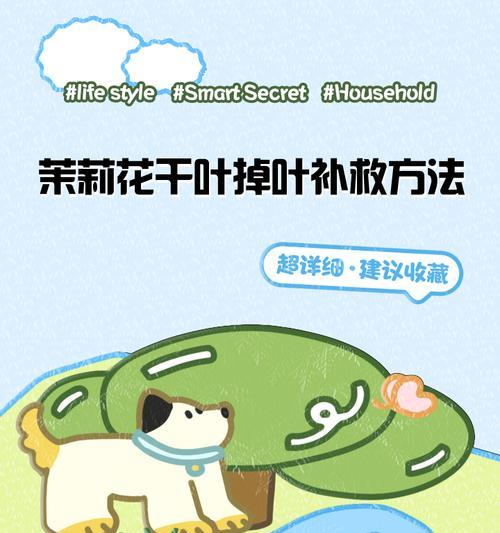 非洲茉莉落叶问题如何解决？