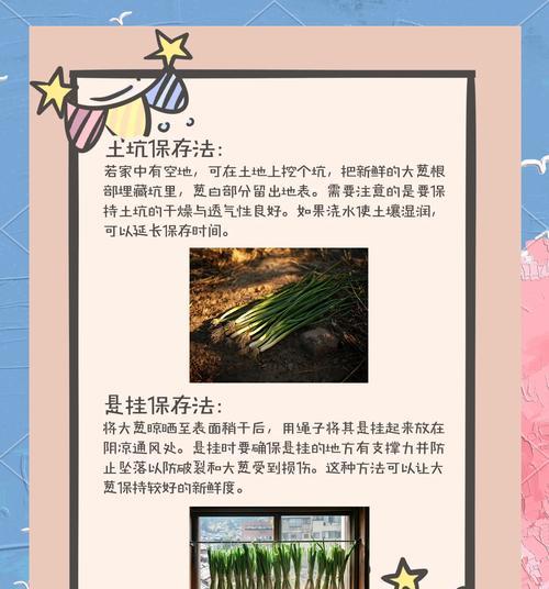 葱兰繁殖的有效方法有哪些？