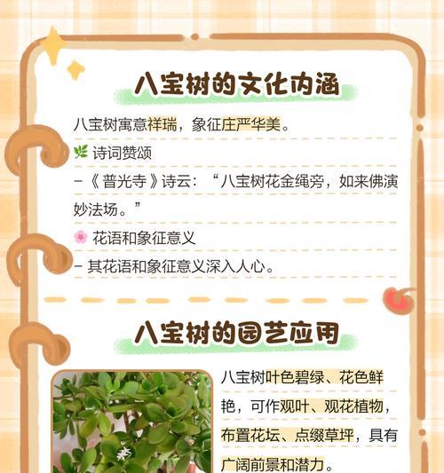 七宝树的养殖技巧是什么？