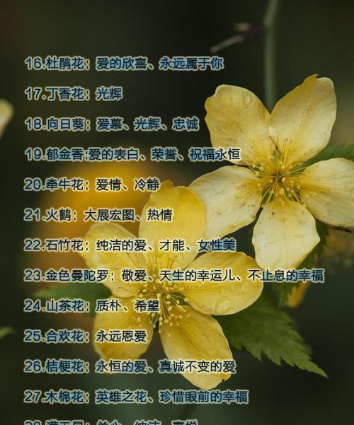 万象花卉怎么样？购买时需要注意什么？
