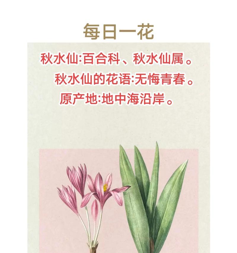 水仙花的种类有哪些？水仙花的花语和象征意义是什么？