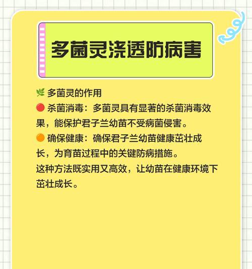 君子兰授粉的最佳时机和方法是什么？