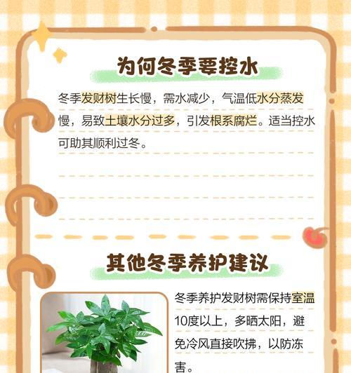 富贵树浇水过多的补救措施是什么？