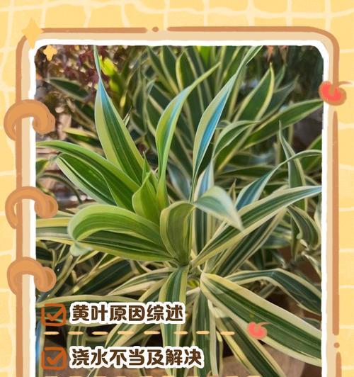 植物叶子变黄的原因有哪些？