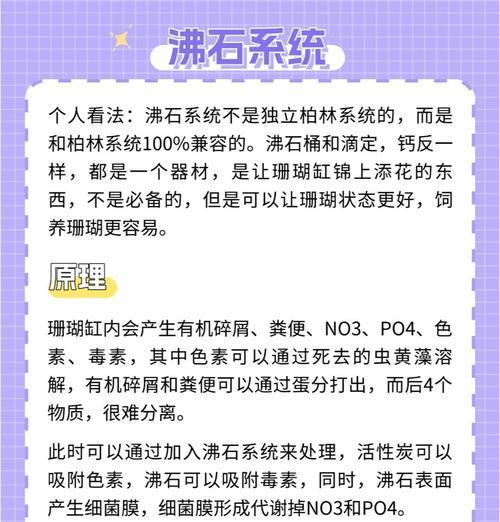 珊瑚养殖的要点和常见问题解答？