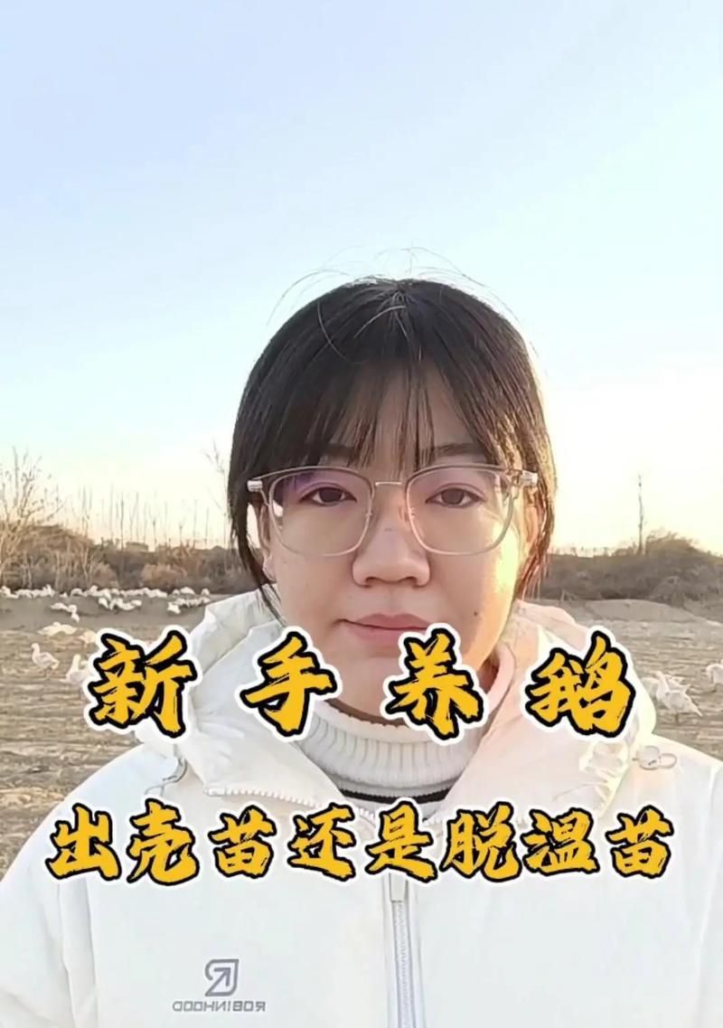 养蛾的基本方法和注意事项有哪些？