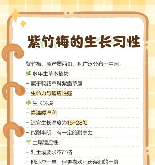 紫竹的养护方法是什么？如何让紫竹长得更茂盛？