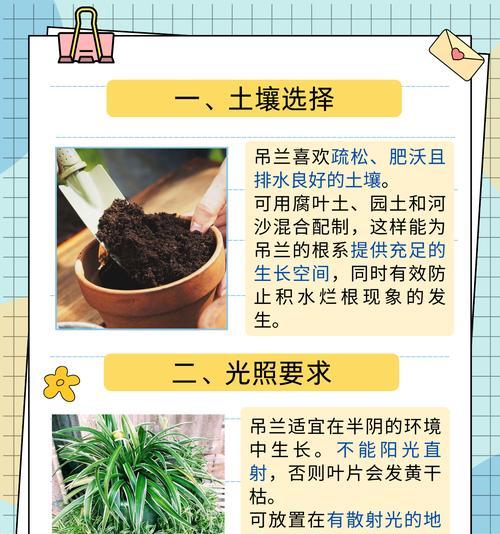 吊兰剪根的正确方法是什么？吊兰剪根需要注意什么？
