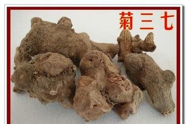 三七的繁殖方法是什么？如何保证三七的成活率？