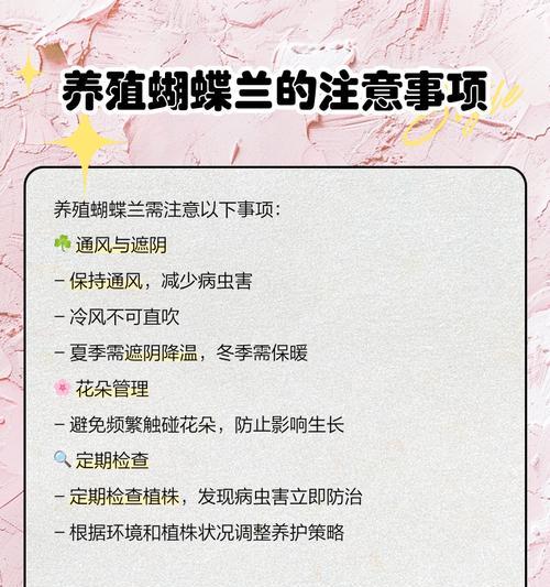 蝴蝶兰的养殖技巧和开花秘诀是什么？