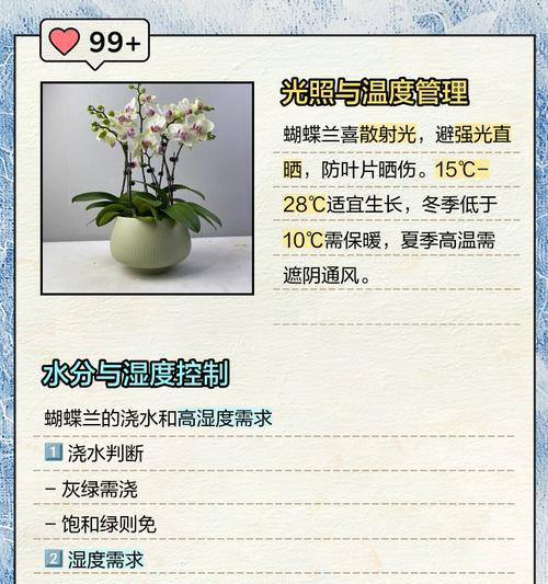 蝴蝶兰的养殖技巧和开花秘诀是什么？