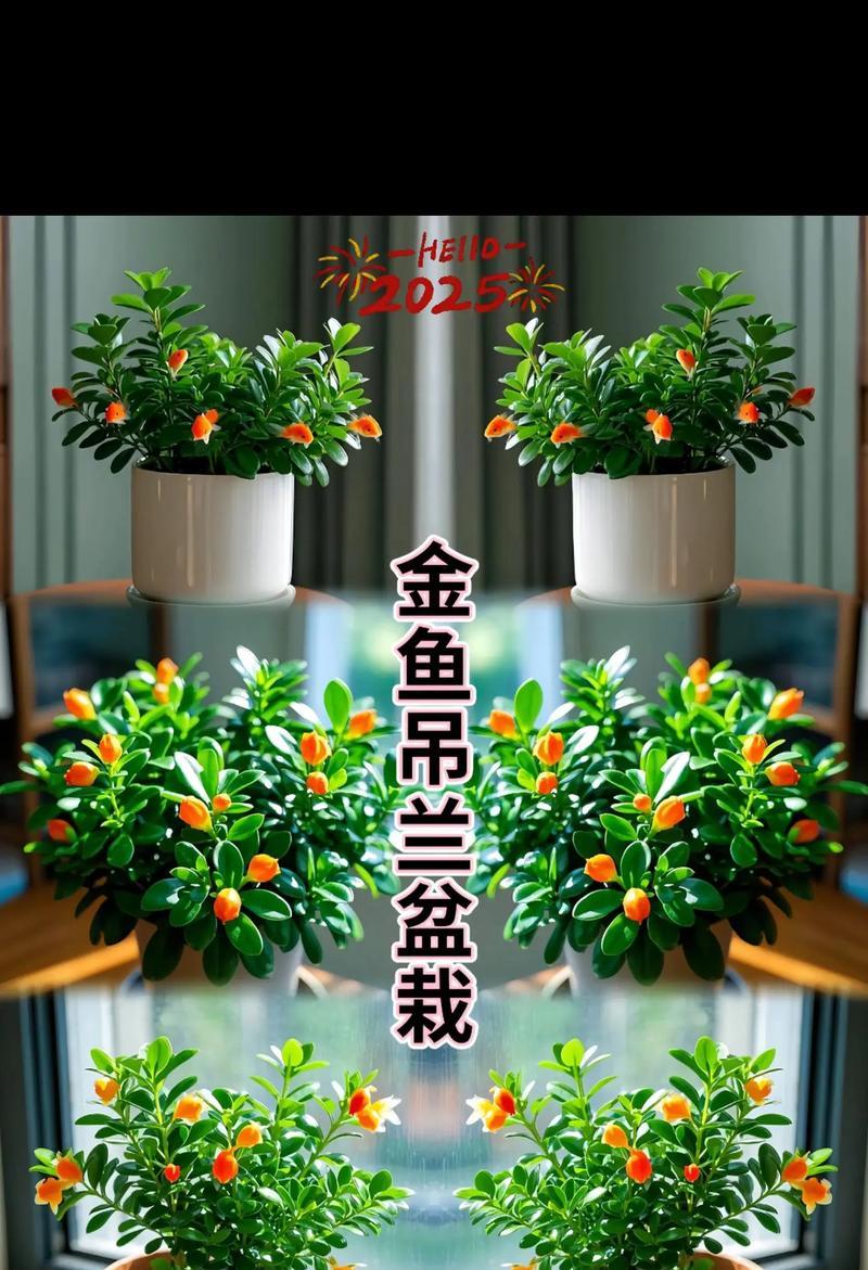 金鱼吊兰修剪的最佳时机和方法是什么？
