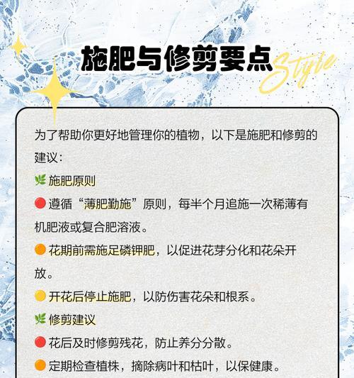 惠兰施肥的最佳时间和方法是什么？
