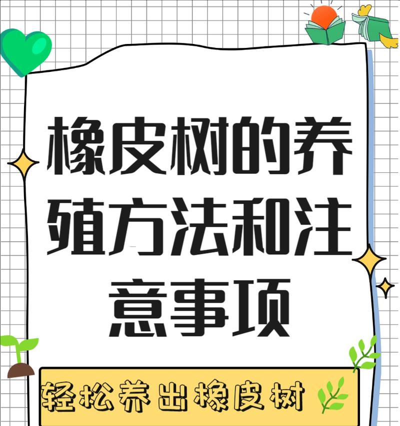 橡皮树黄叶的处理方法和预防措施是什么？