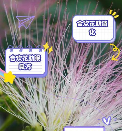 花奔的含义和用途是什么？