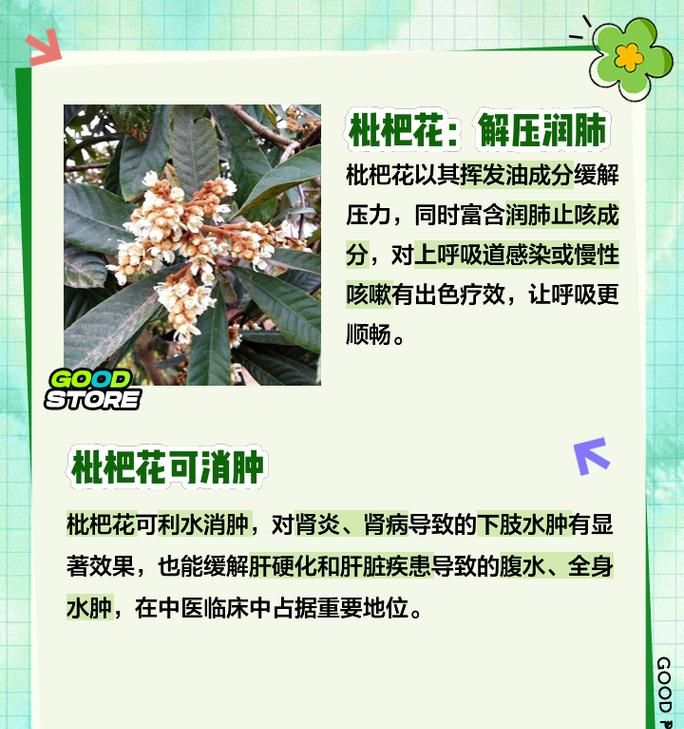花奔的含义和用途是什么？