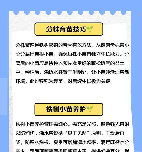 铁树分株的最佳时机是什么时候？分株步骤是怎样的？
