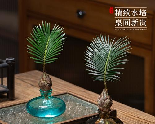 铁树分株的最佳时机是什么时候？分株步骤是怎样的？