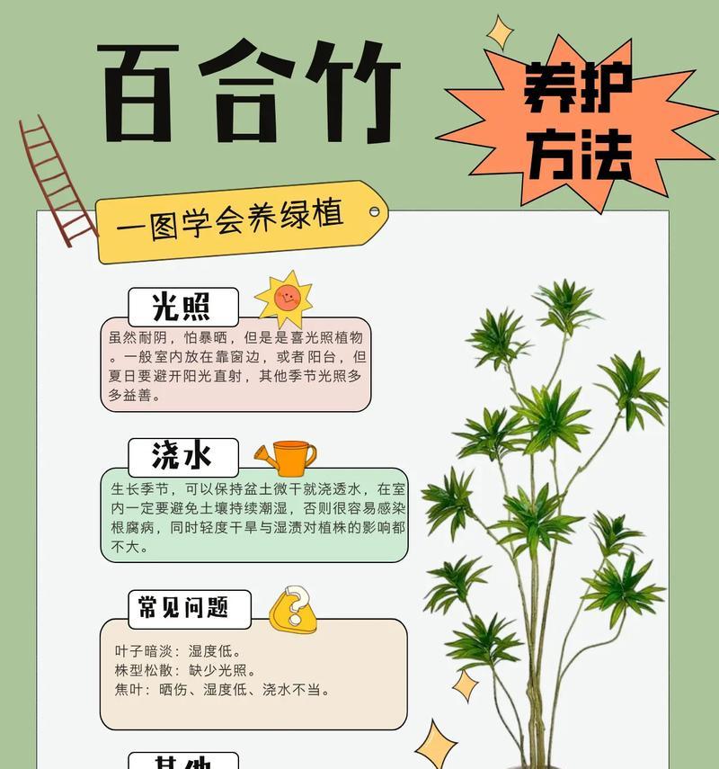 竹子种植的步骤和技巧是什么？