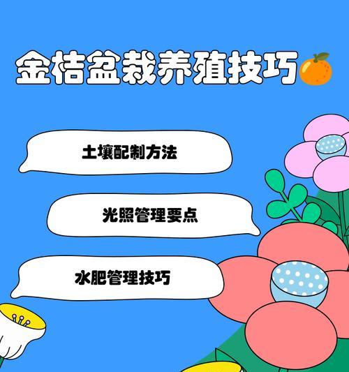 金桔种植的正确方法是什么？如何提高产量？