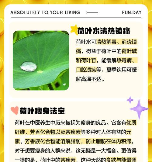 荷花叶子发黄的解决措施是什么？